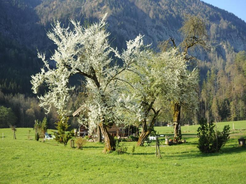 Hansenbauernhof Inkl. Chiemgaukarte Ruhpolding Bagian luar foto