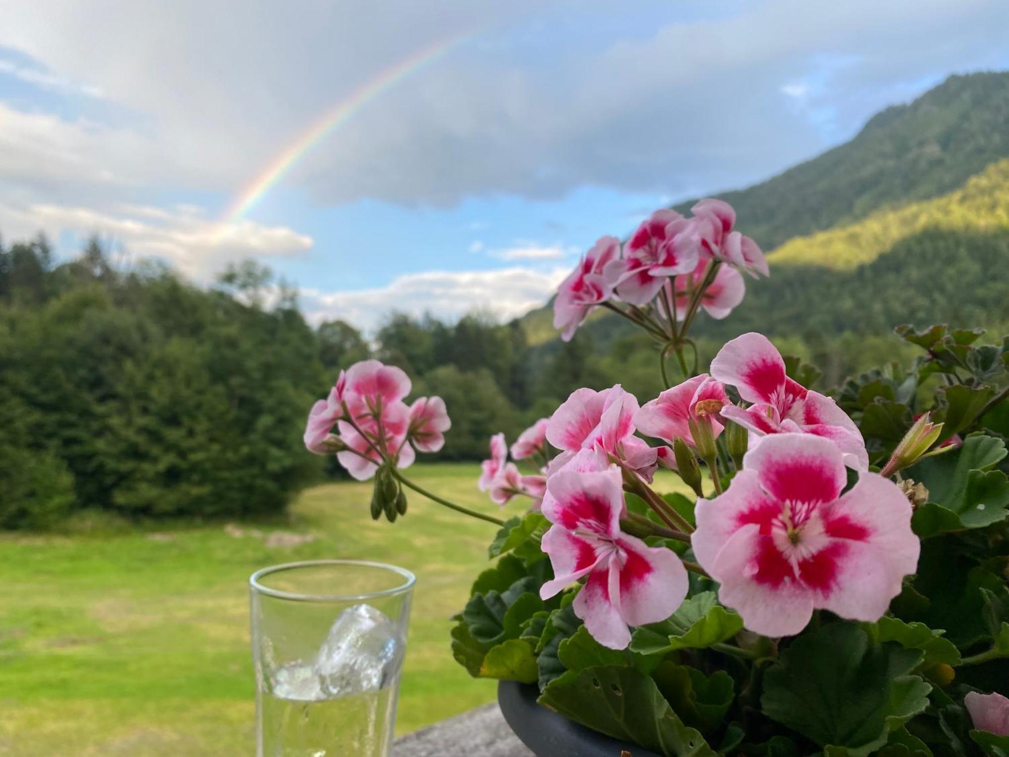 Hansenbauernhof Inkl. Chiemgaukarte Ruhpolding Bagian luar foto
